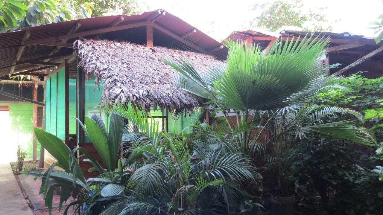 Tambopata Hostel Bambu Пуэрто-Мальдонадо Экстерьер фото